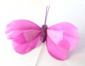 Veren vlinder paars roze 207498